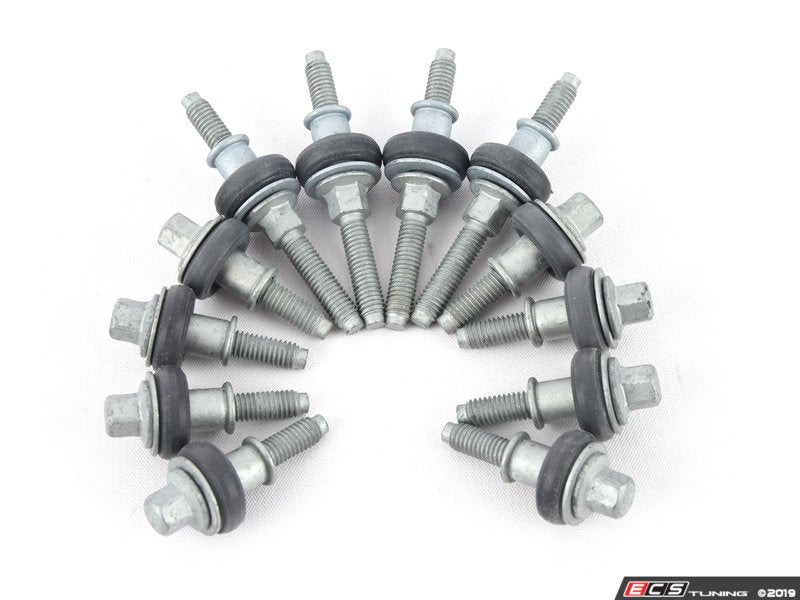 ECS Tuning Valve Cover Screws Kit - URO