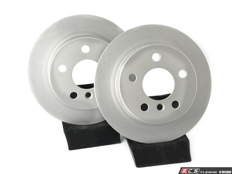 ECS Tuning Rear V5 Plain Brake Rotors - Set (259x10)