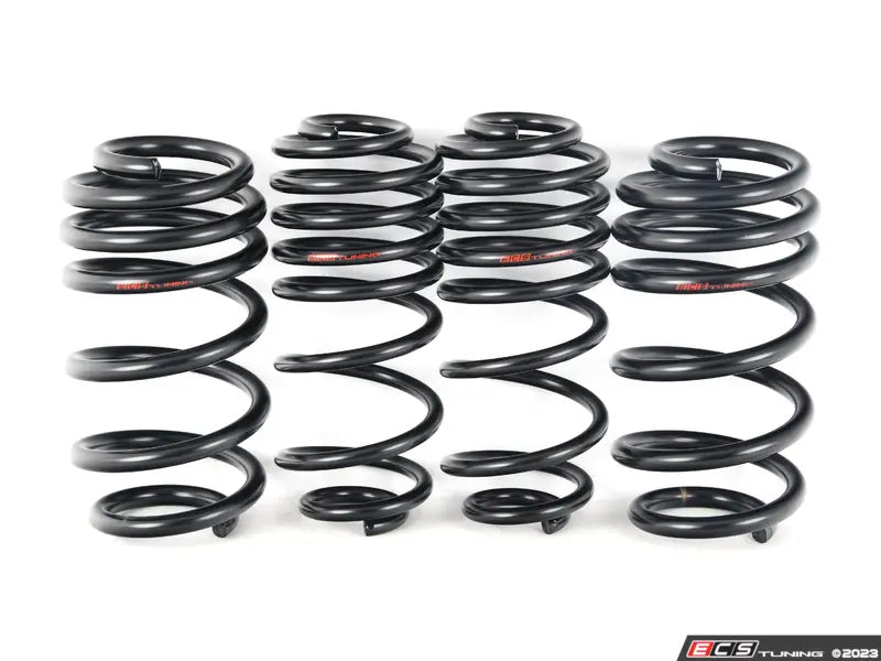 Set of black coil springs on a white background with ECS Tunings logo.