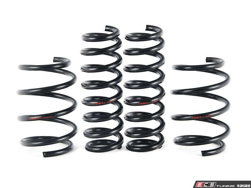 ECS Tuning F30/F32 RWD Lowering Springs