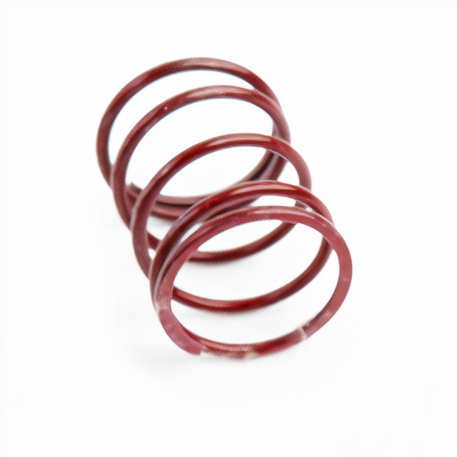 CTS Turbo Replacement BOV/DV Spring - Eurosport Performance