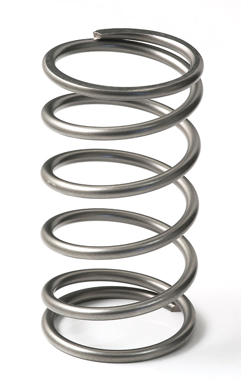 GFB 7113 EX50 13PSI Spring (Outer)