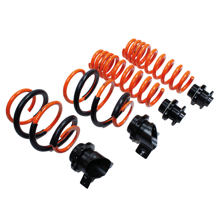 AST 16-21 BMW M2 (F87) / 14-18 M3 (F80) / M4 (F82) Adjustable Lowering Springs