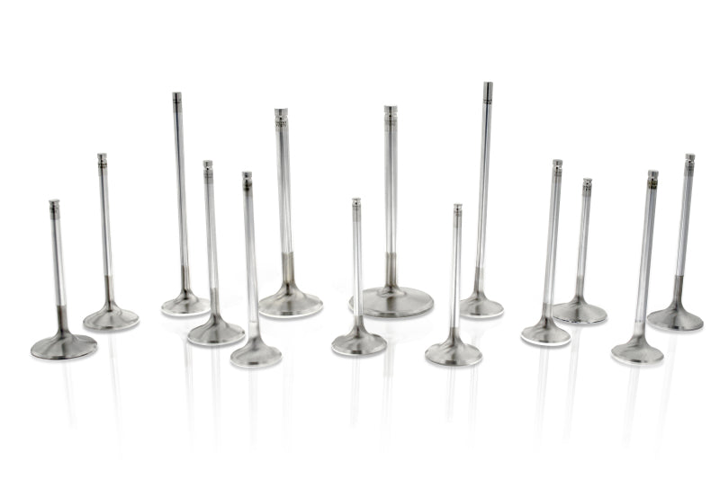 Ferrea Competition 6000 Series Intake Valve Set (8) - Audi/VW 1.8L 16V