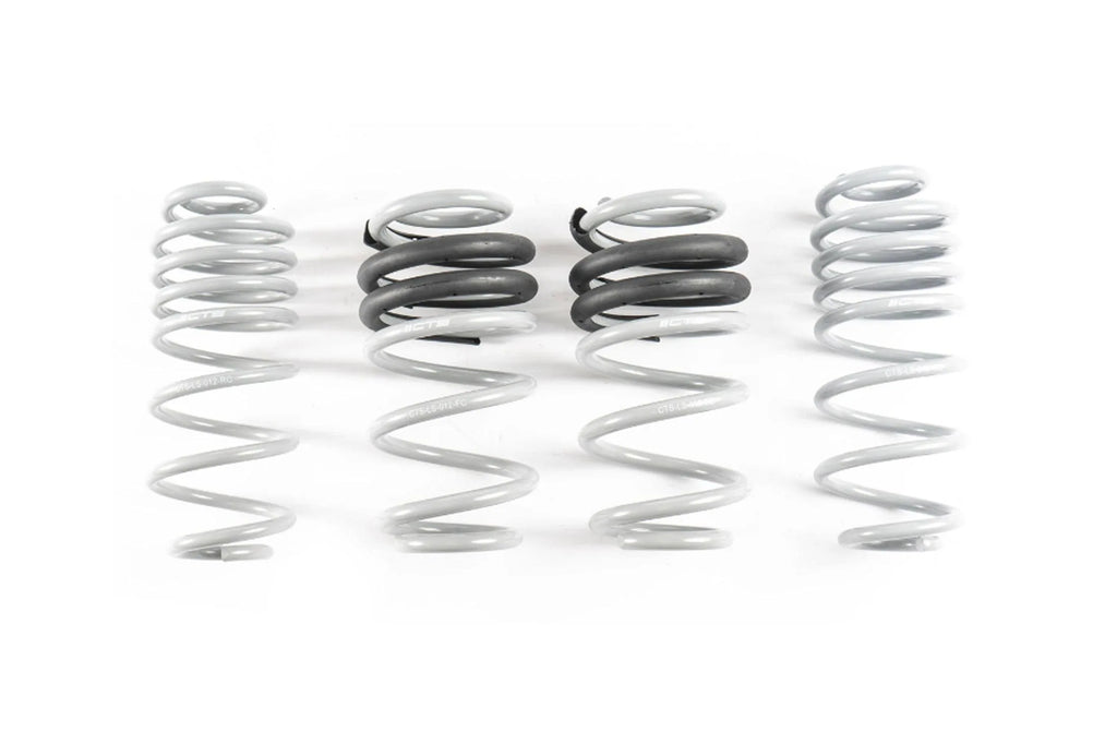 CTS Turbo Lowering Springs (2.0F/2.0R) - Audi A4/S4 B8/8.5 - Eurosport Performance