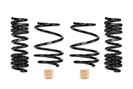 Four black coil springs with wooden spacers on a white background