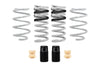 Eibach Ford Mustang DRAG-LAUNCH-KIT