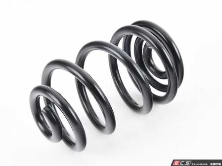 Stock Replacement E46 M3 Rear Spring - Coupe - Single - Eurosport Performance