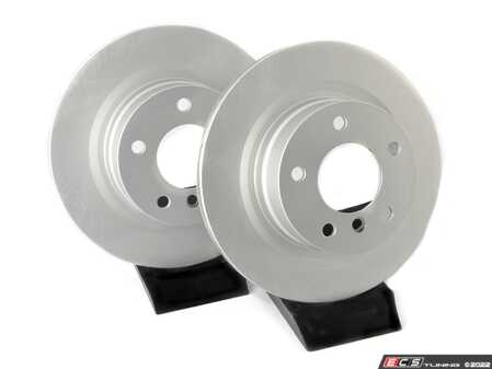 ECS Tuning Rear V5 Plain Brake Rotors - Set (300x20) - Eurosport Performance