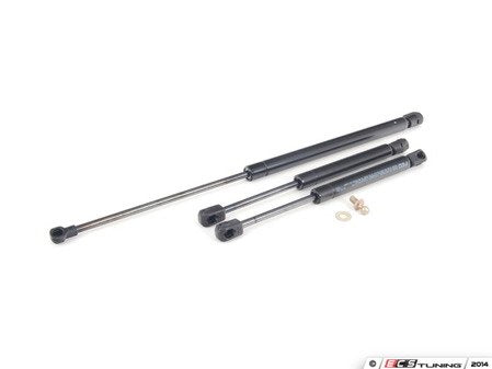 ECS Tuning Hood And Trunk Strut Kit - Eurosport Performance