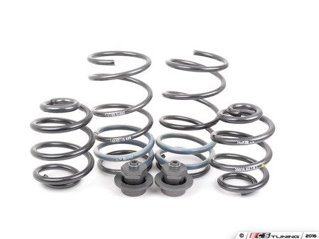 Turner Motorsports/H&R Adjustable Sport Spring Set - Eurosport Performance