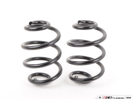 Turner Motorsports E46 AWD Replacement Rear Springs - Pair - Eurosport Performance